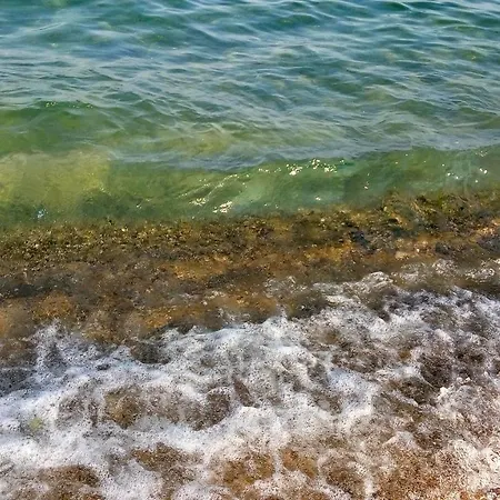 Blue Sea Star Varna