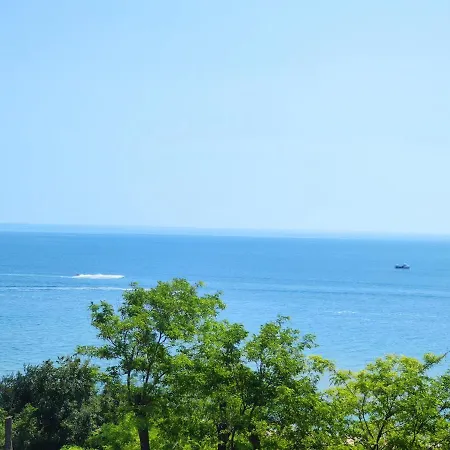 Apartment Blue Sea Star